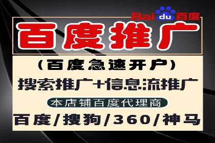 百度SEO推广公司案例分析：成功案例解析